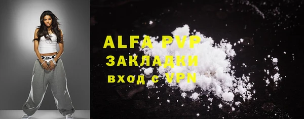 сатива Аркадак