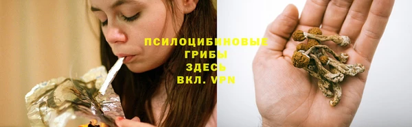 сатива Аркадак