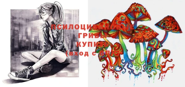 спайс Арсеньев