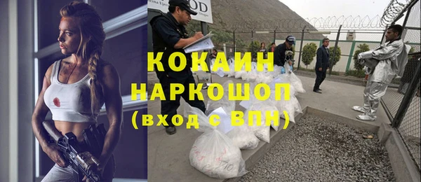 сатива Аркадак