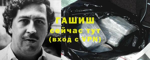 сатива Аркадак